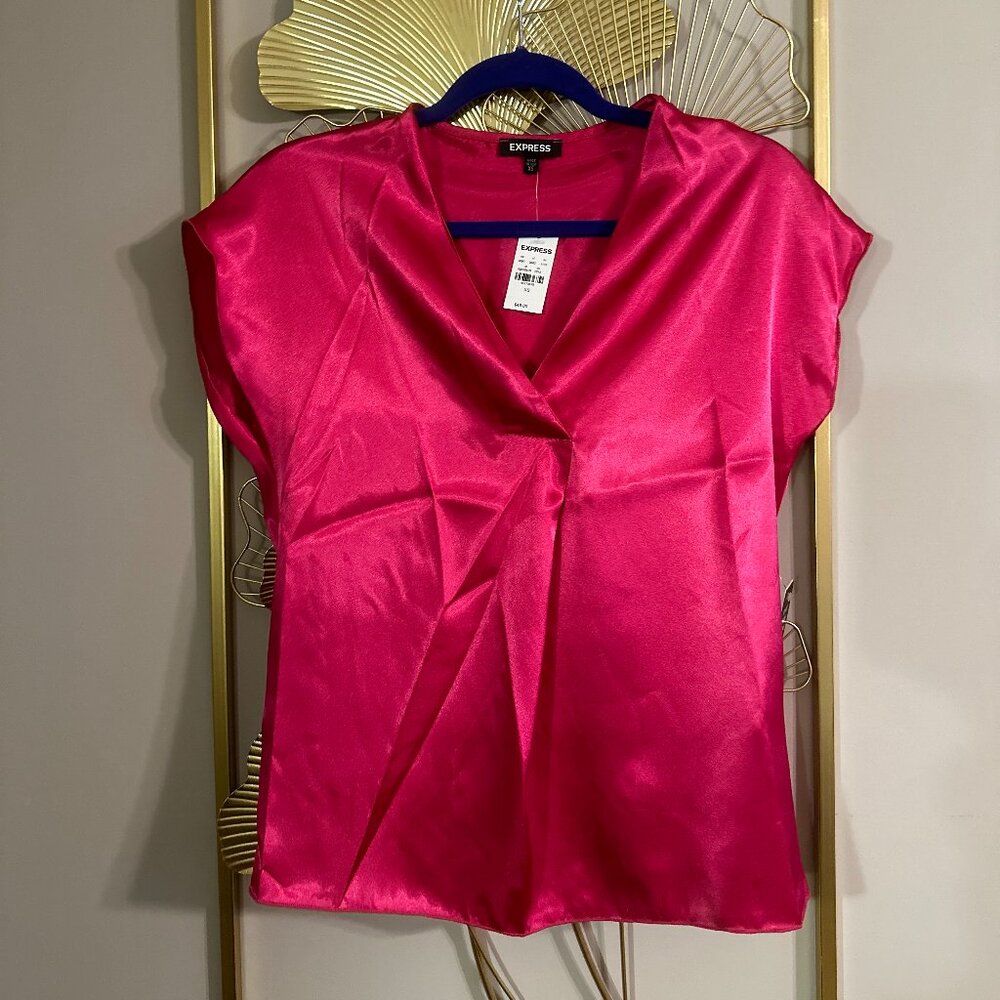 Express Satin V-Neck Short Sleeve Top